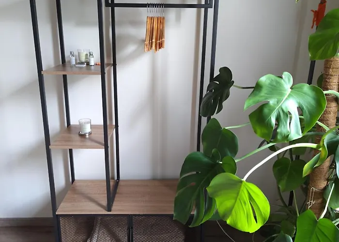 Outlander Vicino Centergross Bologna