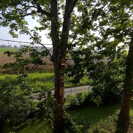 Outlander Tra Bologna E Ferrara Vicino Uscita A13 Altedo Frühstückspension *