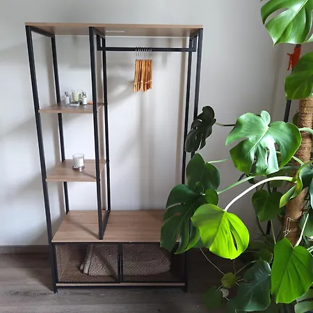 Outlander Tra Bologna E Ferrara Vicino Uscita A13 Altedo