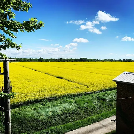 Bed & Breakfast Outlander Tra Bologna E Ferrara Vicino Uscita A13 Altedo *