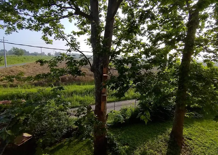 Outlander Vicino Centergross Bologna B&B *