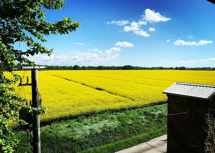 Oda ve Kahvaltı Outlander Vicino Centergross Bologna *